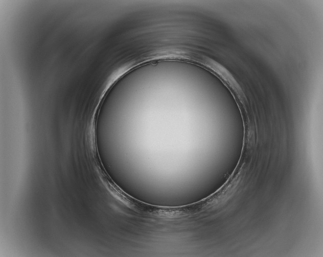 X0000116821242200912241234