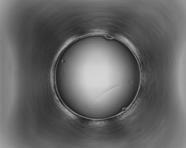 X0000116821243200912241234