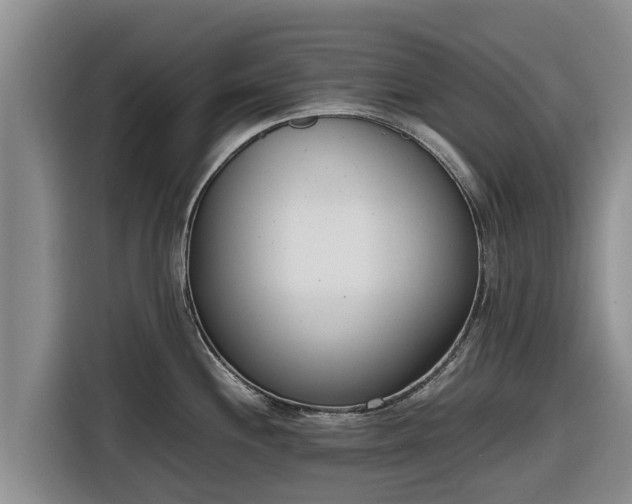 X0000116821244200912241234