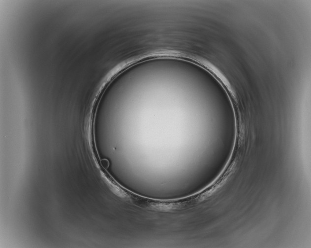 X0000116821245200912241234