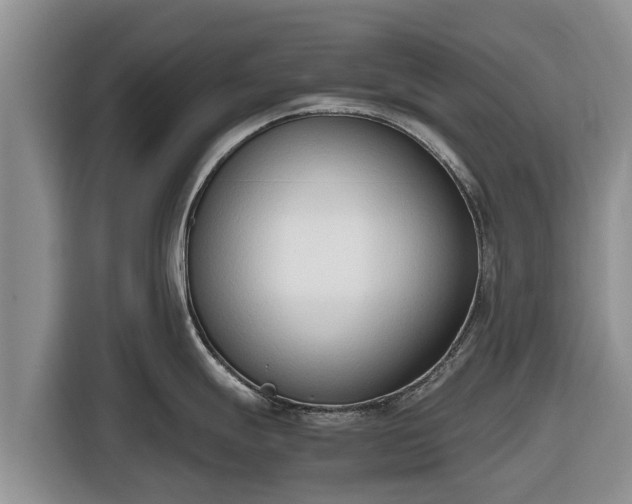 X0000116821247200912241234