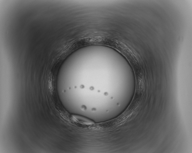 X0000116821250200912241234