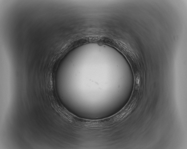 X0000116821252200912241234