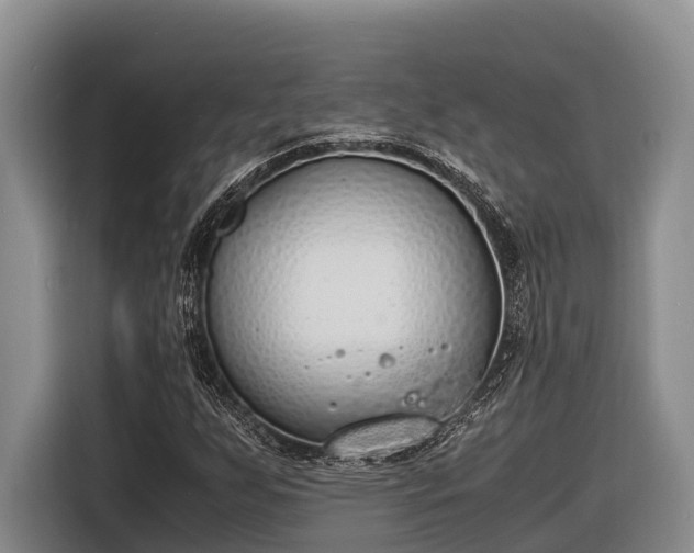 X0000116821255200912241234