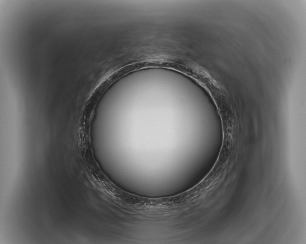 X0000116821256200912241234