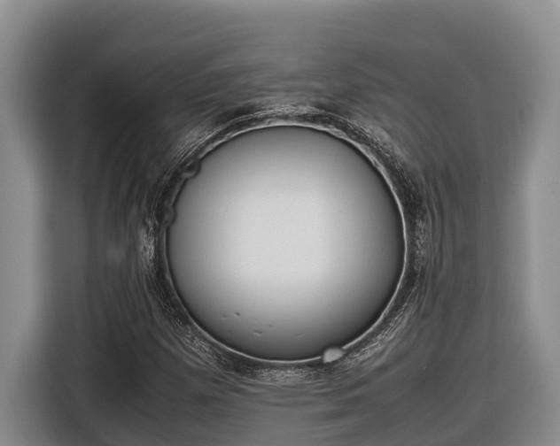 X0000116821257200912241234