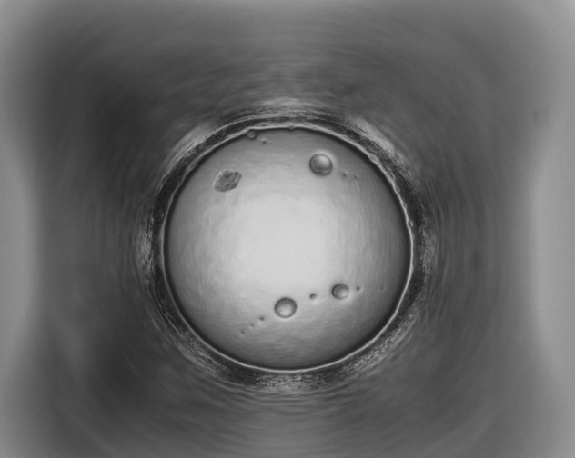 X0000116821259200912241234