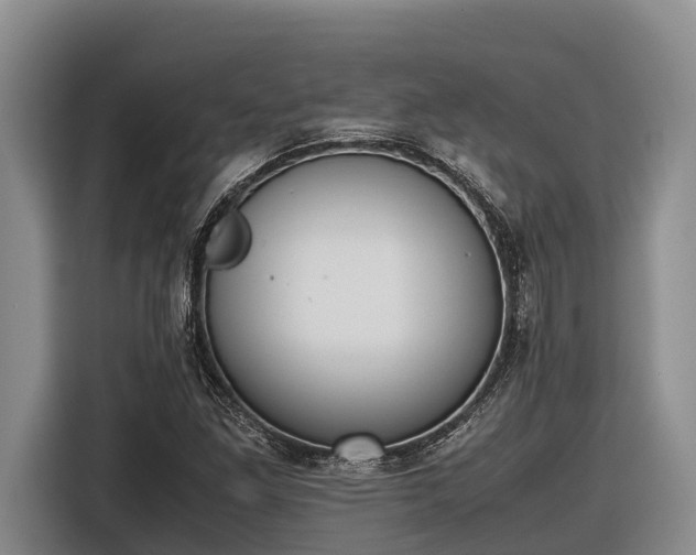 X0000116821261200912241234