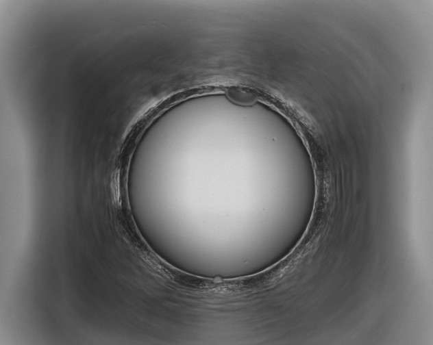 X0000116821262200912241234