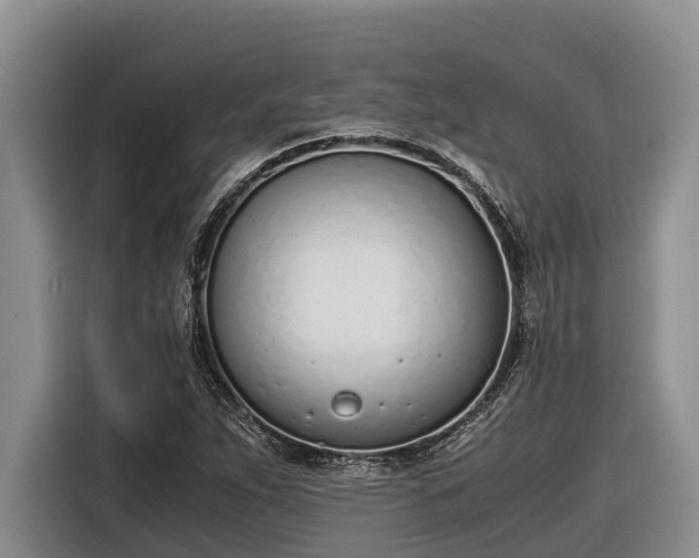 X0000116821263200912241234