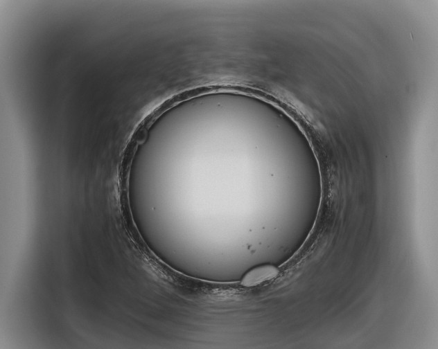 X0000116821264200912241234