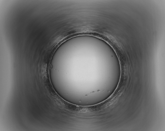 X0000116821265200912241234