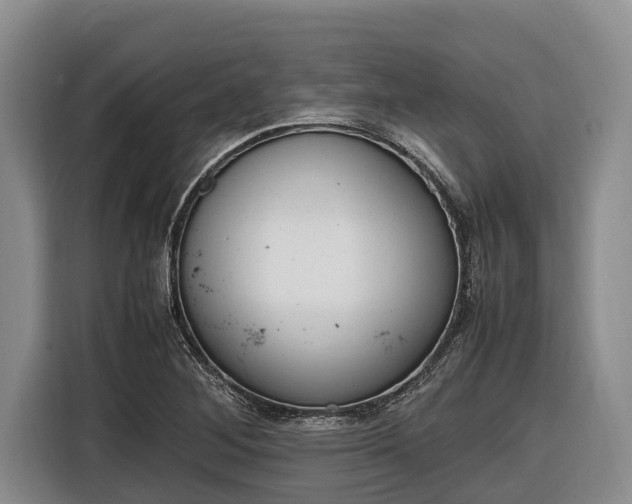 X0000116821268200912241234