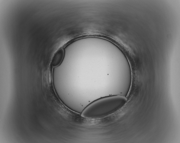 X0000116821269200912241234