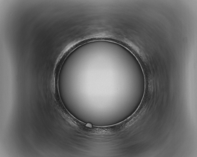 X0000116821270200912241234