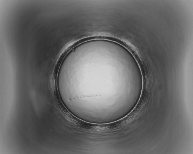 X0000116821271200912241233