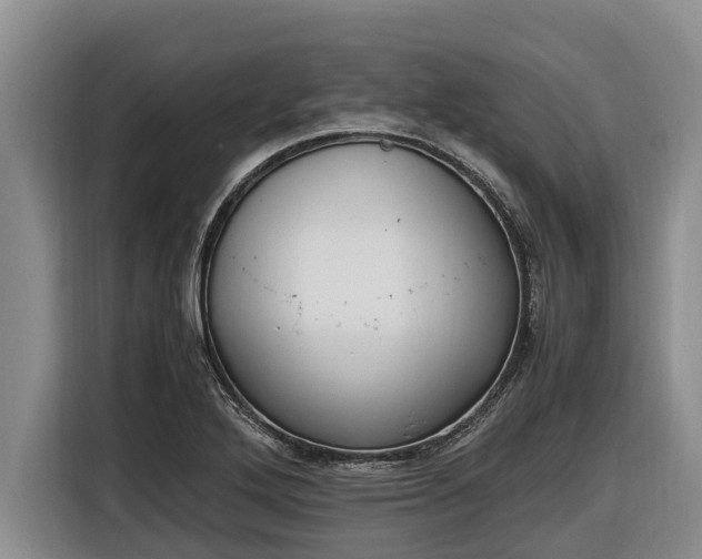 X0000116821272200912241233