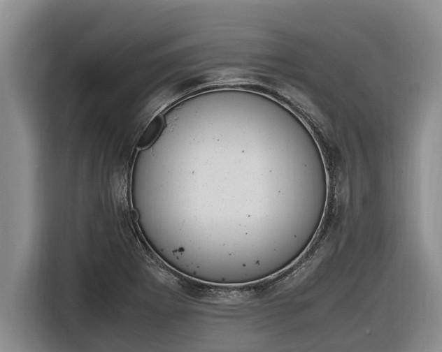 X0000116821273200912241233