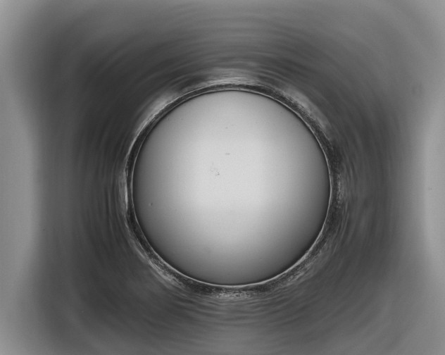 X0000116821274200912241233