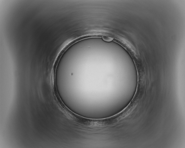 X0000116821275200912241233