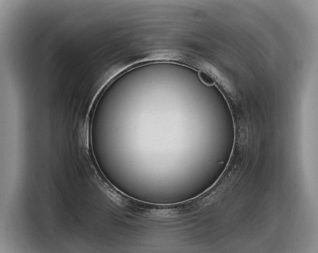 X0000116821276200912241233