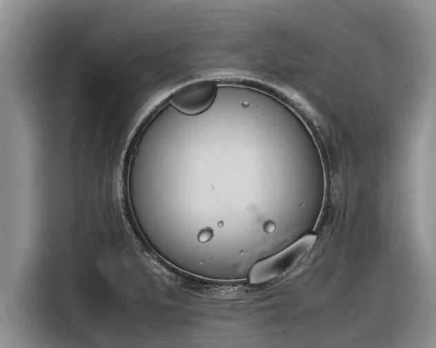 X0000116821279200912241233