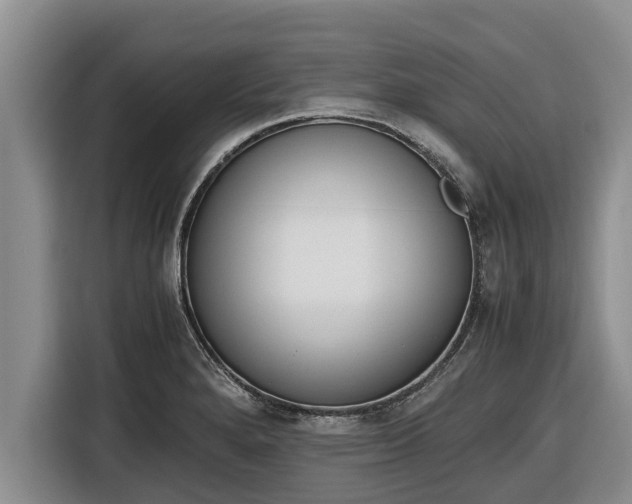 X0000116821280200912241233