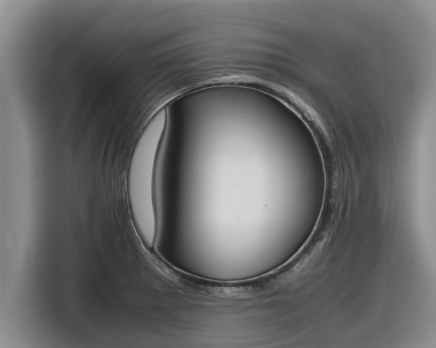 X0000116821281200912241233