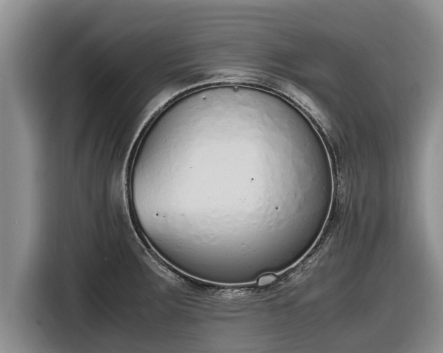 X0000116821283200912241233