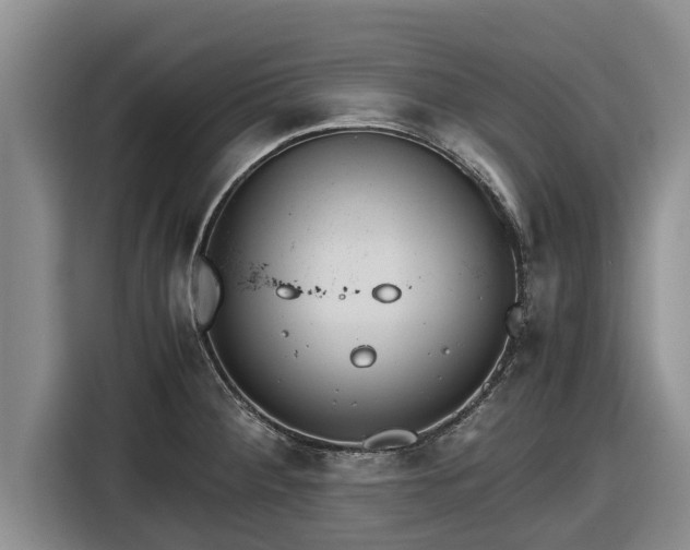 X0000116821284200912241233