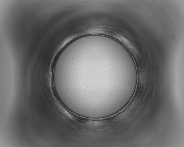 X0000116821286200912241233