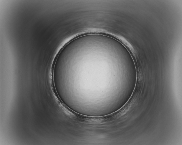 X0000116821287200912241233