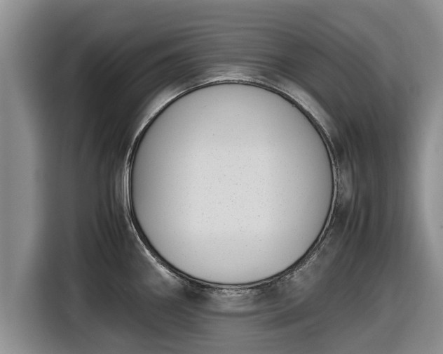 X0000116821290200912241233