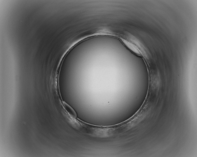 X0000116821292200912241233