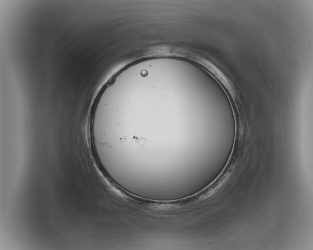 X0000116821293200912241233