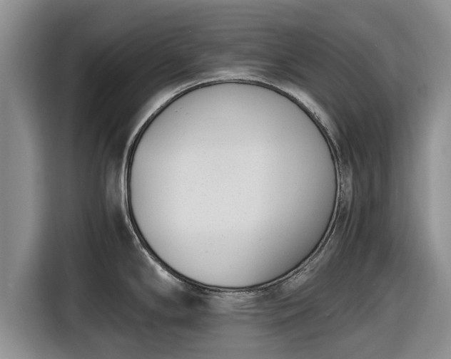 X0000116821294200912241233