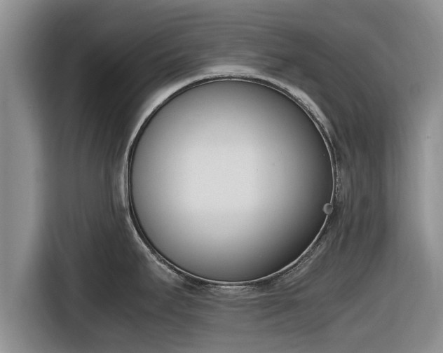 X0000116821295200912241233