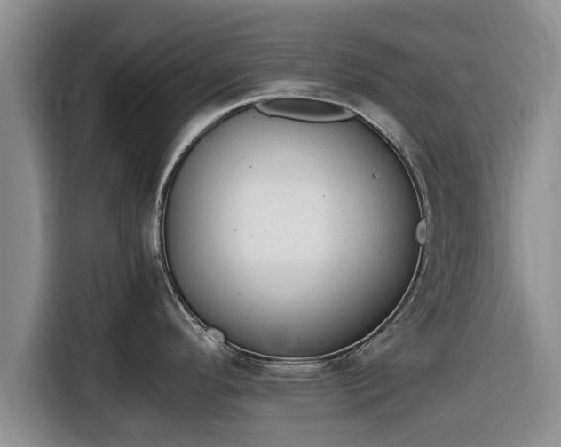 X0000116821296200912241233