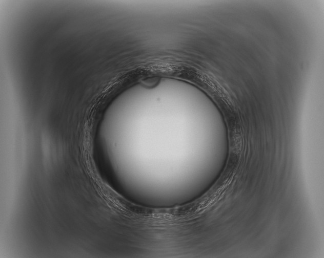 X0000116821297200912241233