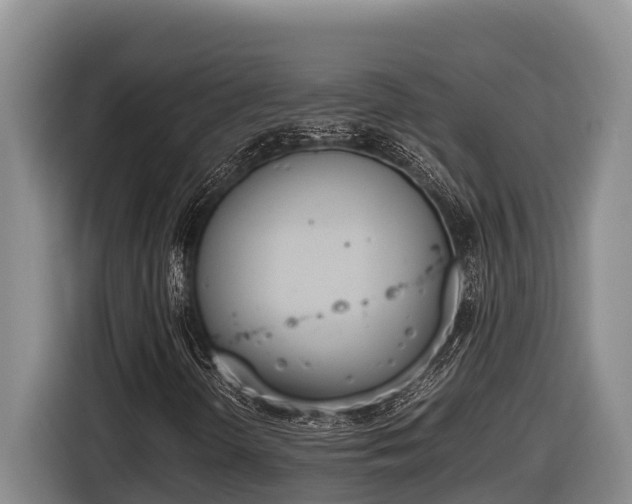 X0000116821298200912241233