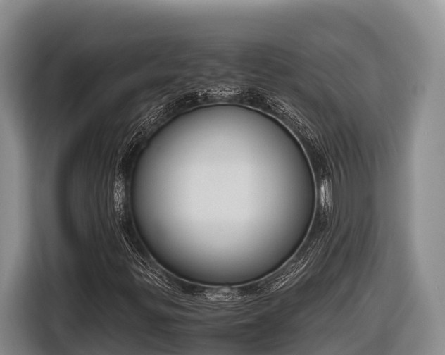 X0000116821299200912241233