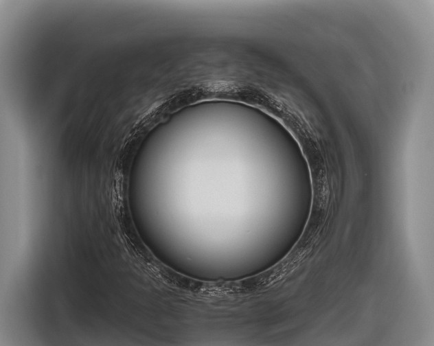 X0000116821301200912241233