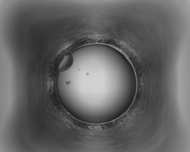 X0000116821302200912241233