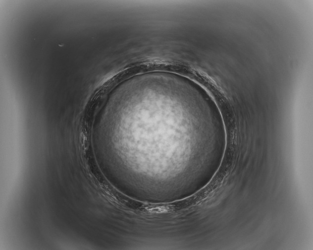 X0000116821303200912241233