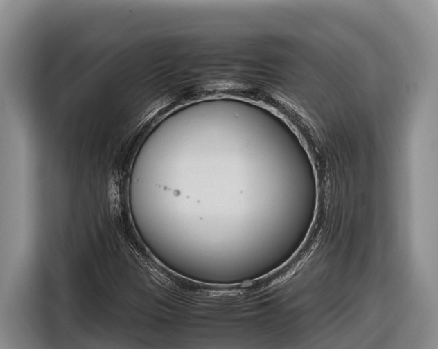 X0000116821305200912241233