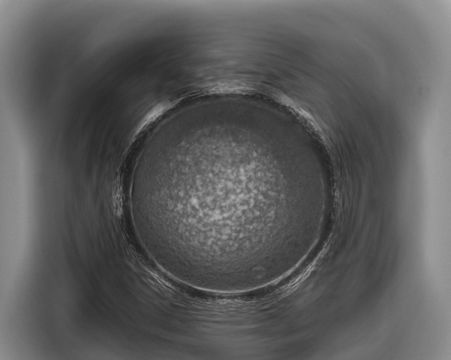 X0000116821306200912241233