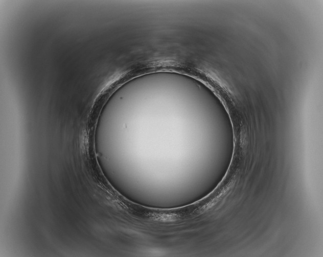 X0000116821309200912241233