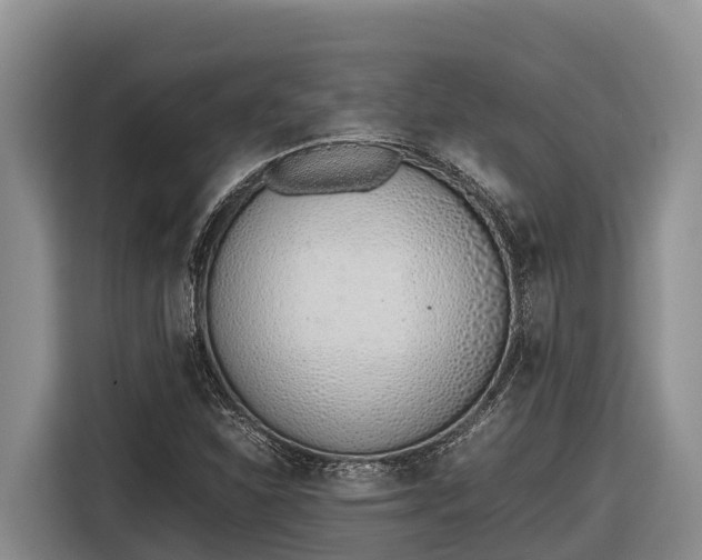 X0000116821310200912241233