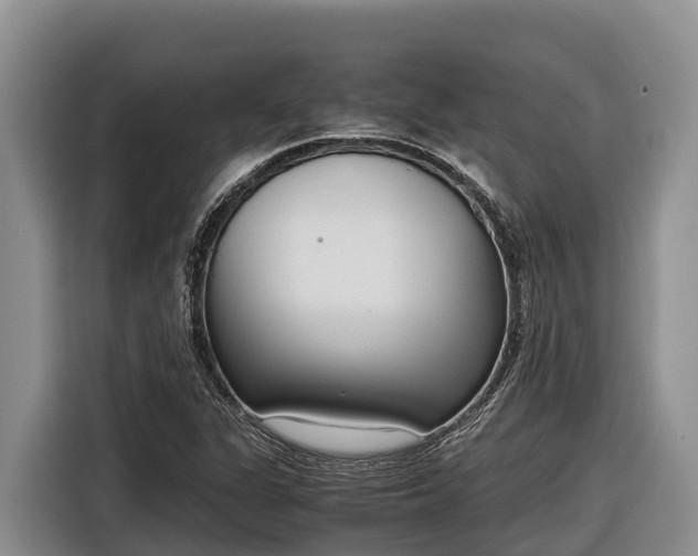 X0000116821311200912241233