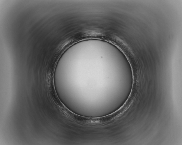 X0000116821313200912241233